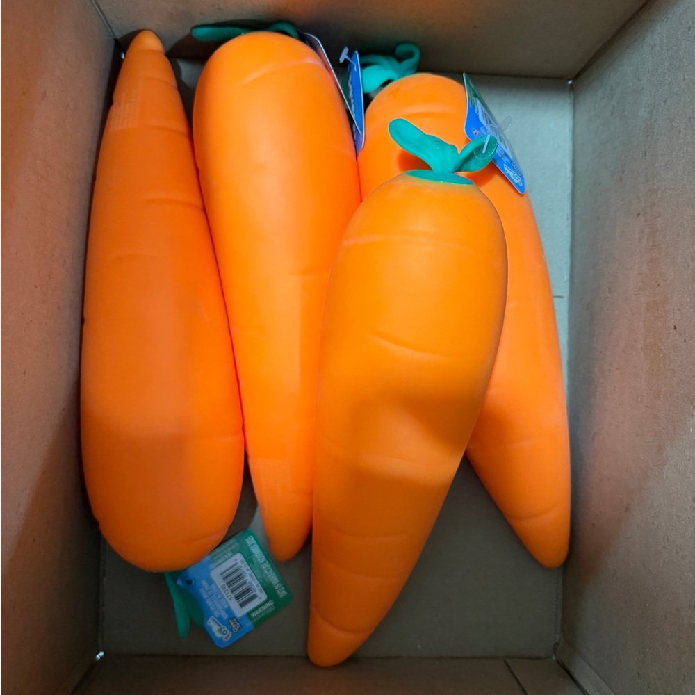 Sunny Days Squeezy Carrot